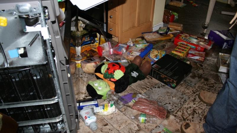 The day after their neighborhood was flooded, the Hardys returned to their house to start bagging up the garbage. The contents of the fridge were spread all over the kitchen floor and even outside. There were sausages in the street. The kitchen floor was The day after their neighborhood was flooded, the Hardys returned to their house to start bagging up the garbage. The contents of the fridge were spread all over the kitchen floor and even outside. There were sausages in the street. The kitchen floor was