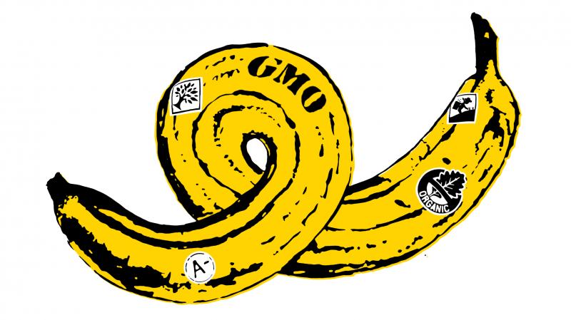 Illustration by Daniel Horowitz for NPR Illustration by Daniel Horowitz for NPR