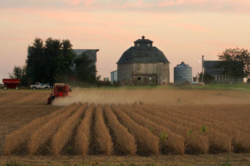 With corn production expected to remain high, the U.S. Department of Agriculture is predicting that prices will continue to fall well into next year. With corn production expected to remain high, the U.S. Department of Agriculture is predicting that prices will continue to fall well into next year.