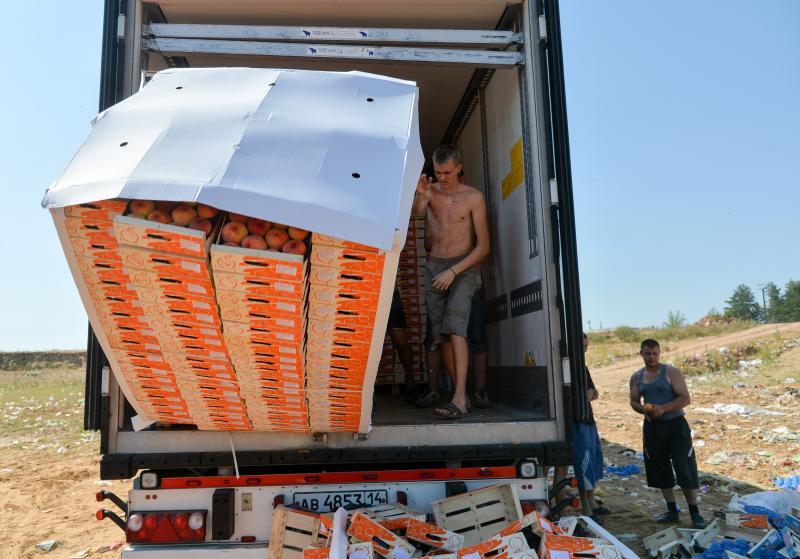 Russian workers threw contraband peaches off a truck outside the city of Novozybkov on Aug. 7. Russian workers threw contraband peaches off a truck outside the city of Novozybkov on Aug. 7.