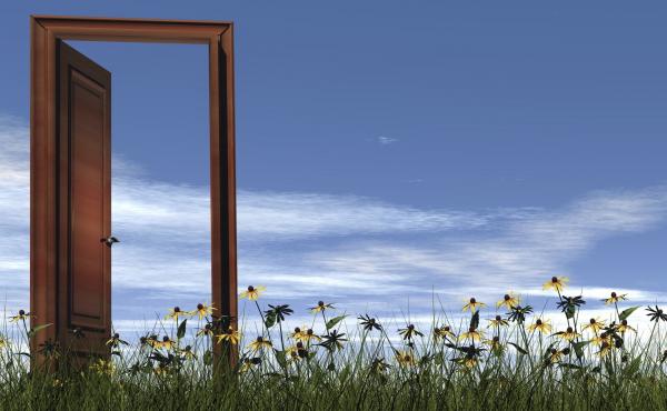 Wooden door in the grass with flowers Wooden door in the grass with flowers