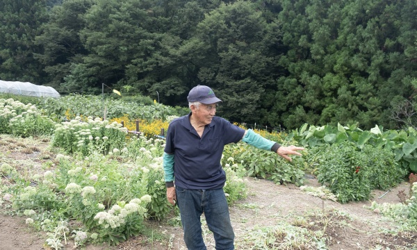 Hachiro Koganezawa, 90, farms flowers and vegetables on a plot of land outside the village center.