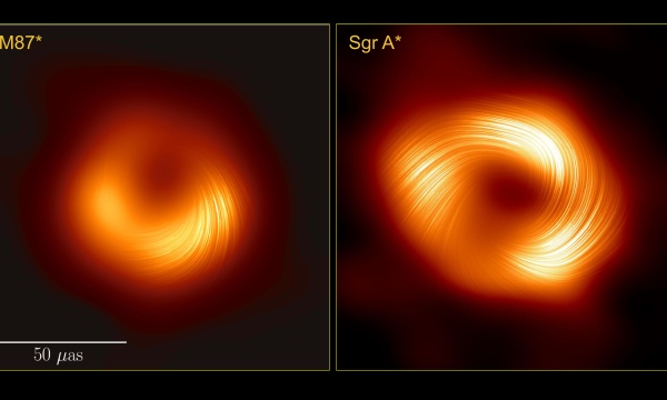 Side-by-side images of M87* and Sagittarius A* reveal that the supermassive black holes have similar magnetic field structures, suggesting that the physical processes governing supermassive black hole may be universal.