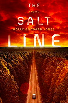 The Salt Line by Holly Goodard Jones book cover