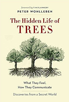 The Secret Life of Trees by Peter Wohlleben book cover
