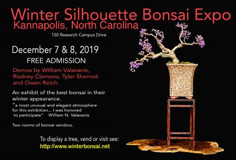 win ter bonsai show bonsai, kannapolis