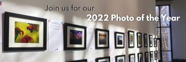 Join us for our 2022 Photo of the Year