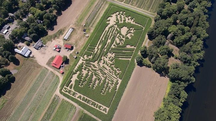 with gps and graph paper farmers find a maze ing ways to bring in national graph paper