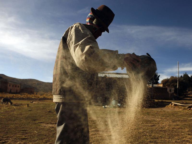 A man cleans quinoa grain in Pacoma, Bolivia. A man cleans quinoa grain in Pacoma, Bolivia.