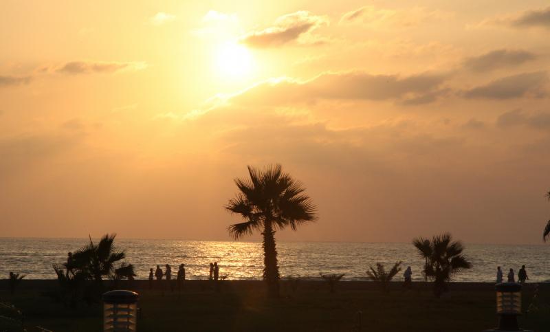 Director Nidal Hassan spent a year filming in Tartous, a Syrian beach town made up mostly of Alawites who still support embattled President Bashar Assad. Director Nidal Hassan spent a year filming in Tartous, a Syrian beach town made up mostly of Alawites who still support embattled President Bashar Assad.