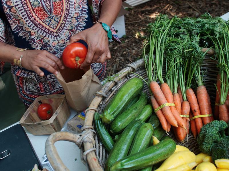 We didn't always feel guilty when we bought Wonder Bread and baloney at the supermarket, instead of fresh organic vegetables at the farmers' market. We didn't always feel guilty when we bought Wonder Bread and baloney at the supermarket, instead of fresh organic vegetables at the farmers' market.