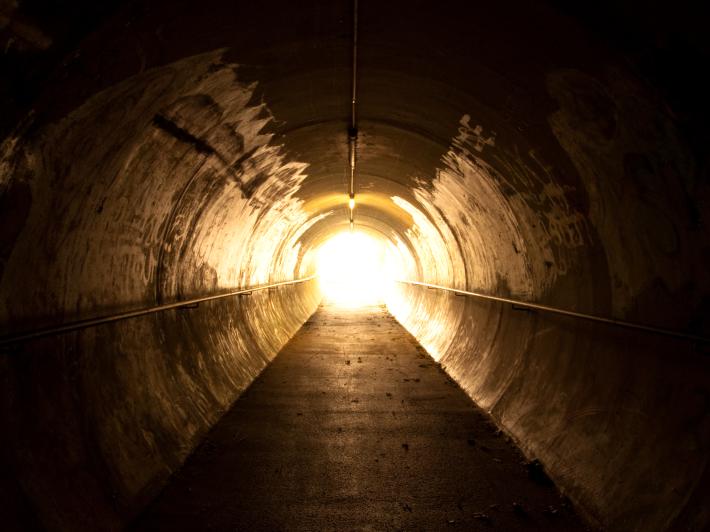 Could the images common in accounts of near-death experiences be explained by a rush of electrical activity in the brain? Could the images common in accounts of near-death experiences be explained by a rush of electrical activity in the brain?