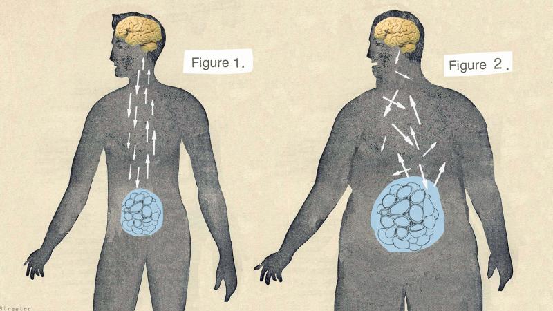 Differences in brain chemistry can affect an individual's likelihood of weight gain. Differences in brain chemistry can affect an individual's likelihood of weight gain.