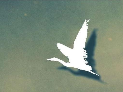 Cover of 'Ten White Geese' Cover of 'Ten White Geese'