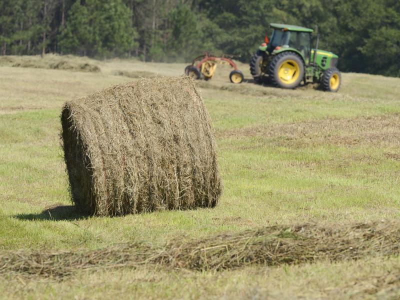 That's a valuable commodity: A hay bale at a farm in Eatonton, Ga., earlier this year. That's a valuable commodity: A hay bale at a farm in Eatonton, Ga., earlier this year.