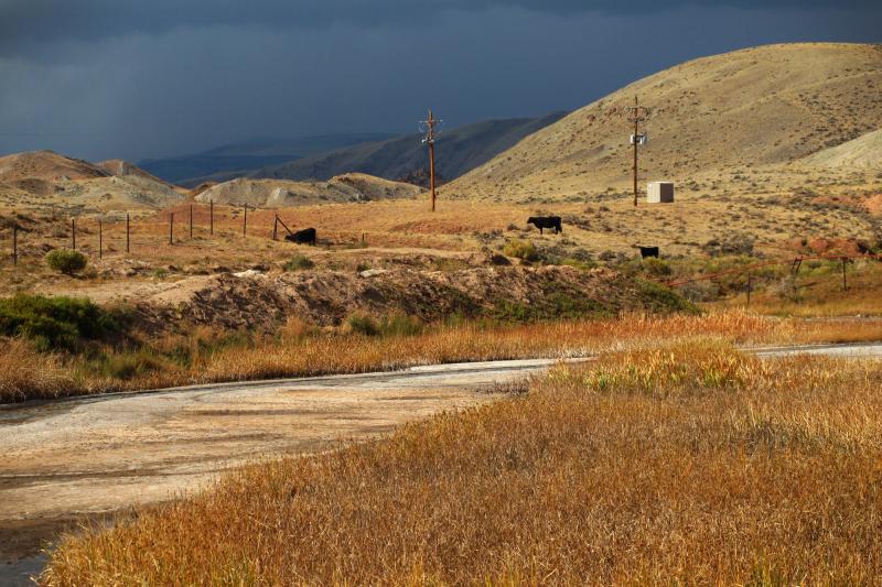 More than 40 years ago, the EPA banned oil companies from releasing wastewater into the environment, but made an exception for the arid West. If livestock and wildlife can use the water, companies can release it. Cows like these grazing near a stream of w More than 40 years ago, the EPA banned oil companies from releasing wastewater into the environment, but made an exception for the arid West. If livestock and wildlife can use the water, companies can release it. Cows like these grazing near a stream of w