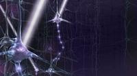 A technique called optogenetics is being used in the laboratory to observe and control what brain circuits are doing in real time. A technique called optogenetics is being used in the laboratory to observe and control what brain circuits are doing in real time.