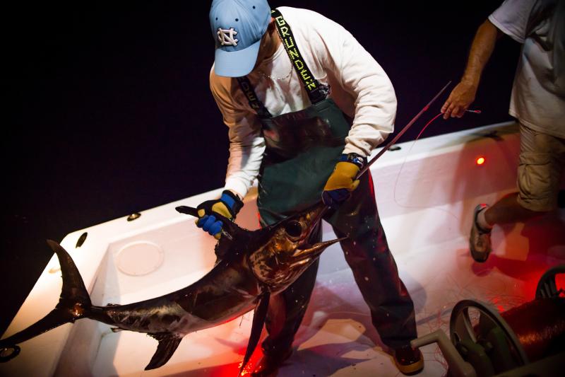 Dennis Roseman (left) and Jamie Manganello pull in a swordfish off the coast of Florida. The Day Boat Seafood company went through a complicated process to become certified as a sustainable fishery by the Marine Stewardship Council. Dennis Roseman (left) and Jamie Manganello pull in a swordfish off the coast of Florida. The Day Boat Seafood company went through a complicated process to become certified as a sustainable fishery by the Marine Stewardship Council.