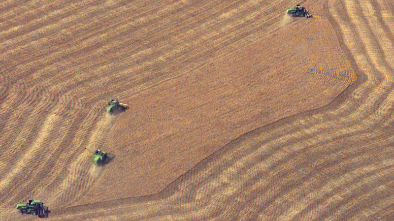 Harvest wheat from a field near Wright, Kan. May 10, 2004. Harvest wheat from a field near Wright, Kan. May 10, 2004.