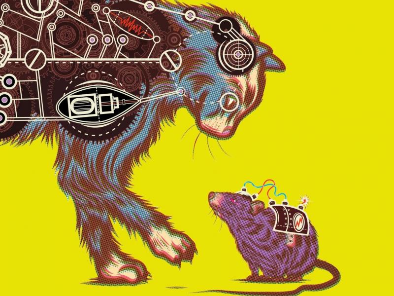 Cover of Frankenstein's Cat Cover of Frankenstein's Cat