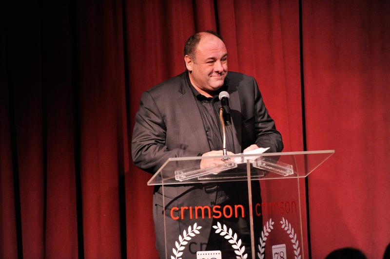 Actor James Gandolfini speaks at the New York Film Critics Circle Awards in January 2013. He died on June 19. Actor James Gandolfini speaks at the New York Film Critics Circle Awards in January 2013. He died on June 19.