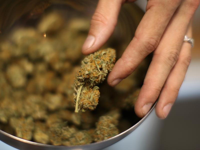 An employee handles marijuana at Perennial Holistic Wellness Center, a medical marijuana dispensary, in Los Angeles. An employee handles marijuana at Perennial Holistic Wellness Center, a medical marijuana dispensary, in Los Angeles.