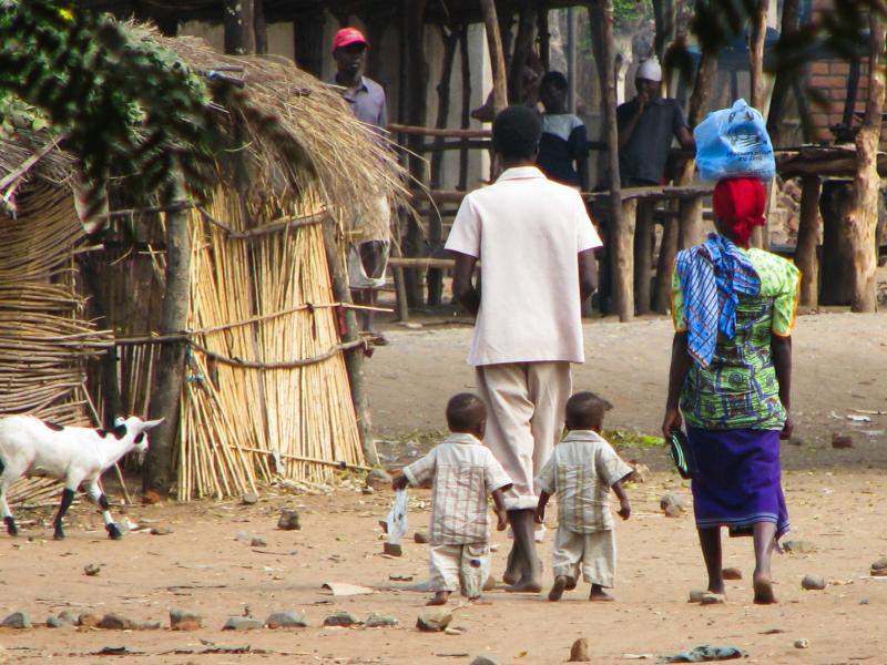 Researchers followed 300 sets of twins in Malawi for the first three years of their life. In many cases, only one twin developed severe malnutrition, while the other remained healthier. Researchers followed 300 sets of twins in Malawi for the first three years of their life. In many cases, only one twin developed severe malnutrition, while the other remained healthier.