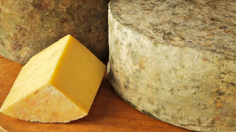 Shelburne Farms' clothbound cheddar has a bright yellow color because it's made from the milk of cows that graze on grasses high in beta-carotene. Shelburne Farms' clothbound cheddar has a bright yellow color because it's made from the milk of cows that graze on grasses high in beta-carotene.