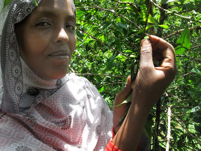Haleuya Habagaro says she always knew her coffee was exquisite. "When I roast the coffee, people come to ask where that strong fruity smell is coming from." Haleuya Habagaro says she always knew her coffee was exquisite. "When I roast the coffee, people come to ask where that strong fruity smell is coming from."