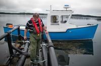 Thierry Chopin from the University of New Brunswick examines a raft that holds strings of seaweed. The seaweed grows around pens of farmed salmon and soaks up some of the nutrients that would otherwise pollute the Bay of Fundy. Thierry Chopin from the University of New Brunswick examines a raft that holds strings of seaweed. The seaweed grows around pens of farmed salmon and soaks up some of the nutrients that would otherwise pollute the Bay of Fundy.