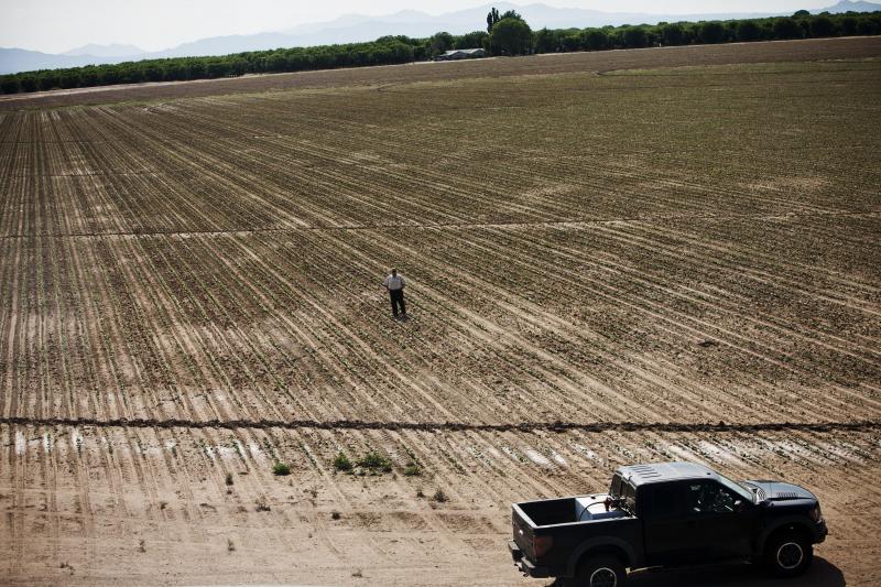 Buffett in a pinto bean field on the Arizona farm, where he grew 60,000 pounds of beans for a Tucson food bank in 2012. Another goal of Buffett's research farm is to find better crops for poor subsistence farmers. Buffett in a pinto bean field on the Arizona farm, where he grew 60,000 pounds of beans for a Tucson food bank in 2012. Another goal of Buffett's research farm is to find better crops for poor subsistence farmers.