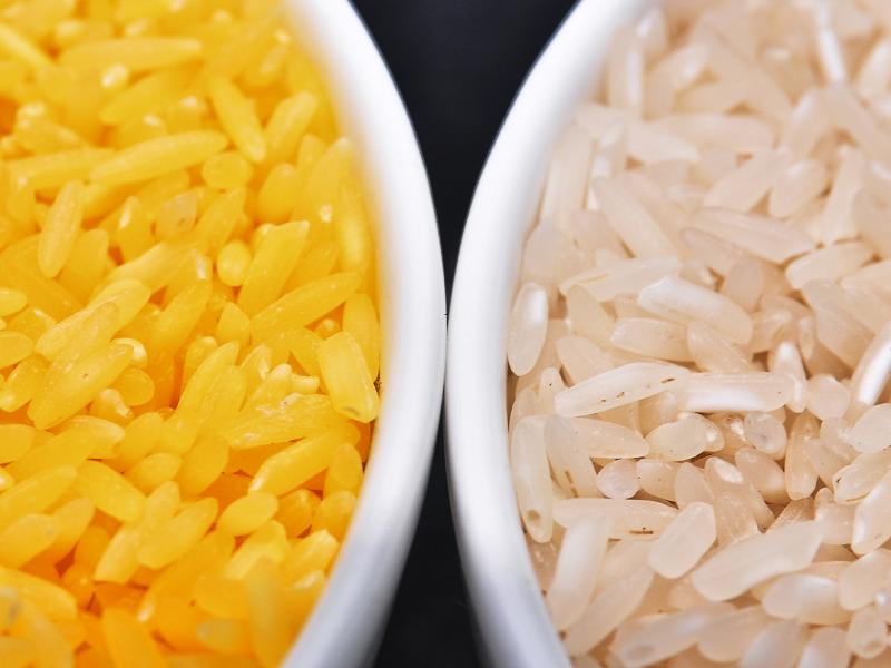 Genetically modified to be enriched with beta-carotene, golden rice grains (left) are a deep yellow. At right, white rice grains. Genetically modified to be enriched with beta-carotene, golden rice grains (left) are a deep yellow. At right, white rice grains.