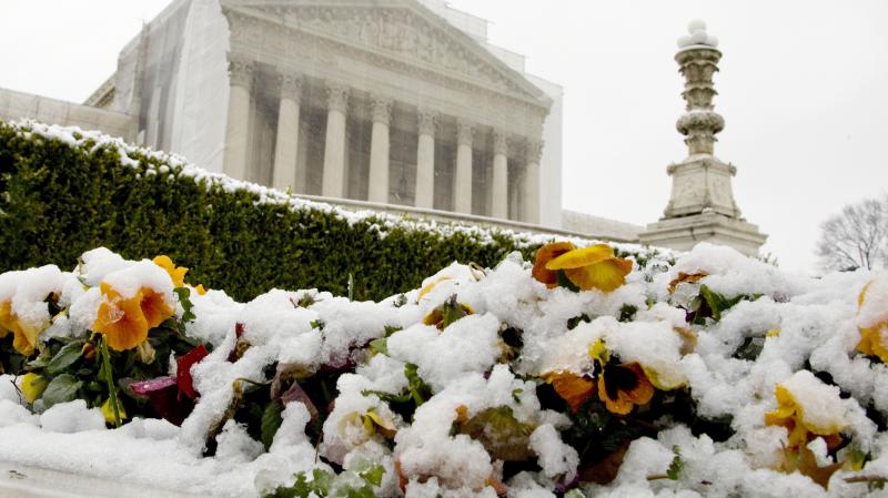 Snow covers flowers in front of the Supreme Court building on Monday in Washington, D.C. On Tuesday, the justices hear oral arguments on the constitutionality of California's Proposition 8, which banned gay marriage. Snow covers flowers in front of the Supreme Court building on Monday in Washington, D.C. On Tuesday, the justices hear oral arguments on the constitutionality of California's Proposition 8, which banned gay marriage.