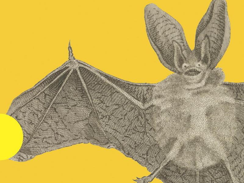 Cover: Vampires In The Lemon Grove Cover: Vampires In The Lemon Grove