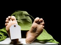 morgue photo morgue photo