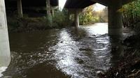 Gwynns Falls runs beneath Interstate 95 at Carroll Park in Baltimore. The chemistry of this river, like many across the country, is changing. Gwynns Falls runs beneath Interstate 95 at Carroll Park in Baltimore. The chemistry of this river, like many across the country, is changing.