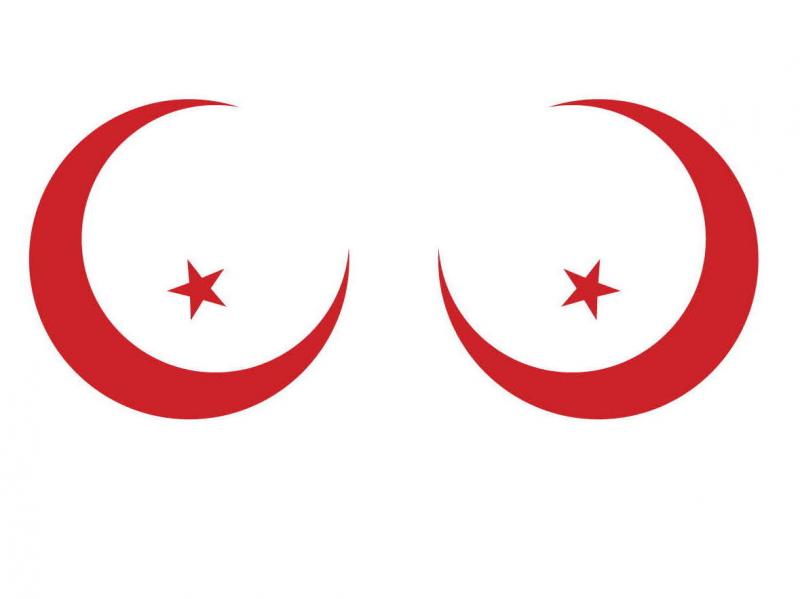 In her new book, Sex and the Citadel, Shereen El Feki looks at the sex lives of people in the Middle East. In her new book, Sex and the Citadel, Shereen El Feki looks at the sex lives of people in the Middle East.