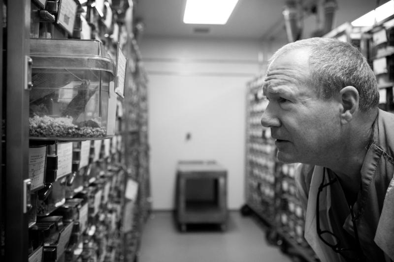 Bob Adams is a lab animal veterinarian at Johns Hopkins University. Bob Adams is a lab animal veterinarian at Johns Hopkins University.