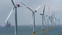 The offshore wind farm in the North Sea near Borkum, Germany, is nearly complete. The Riffgat facility, seen here on June 23, includes 30 turbines, each with a generating capacity of 3.6 megawatts. The offshore wind farm in the North Sea near Borkum, Germany, is nearly complete. The Riffgat facility, seen here on June 23, includes 30 turbines, each with a generating capacity of 3.6 megawatts.