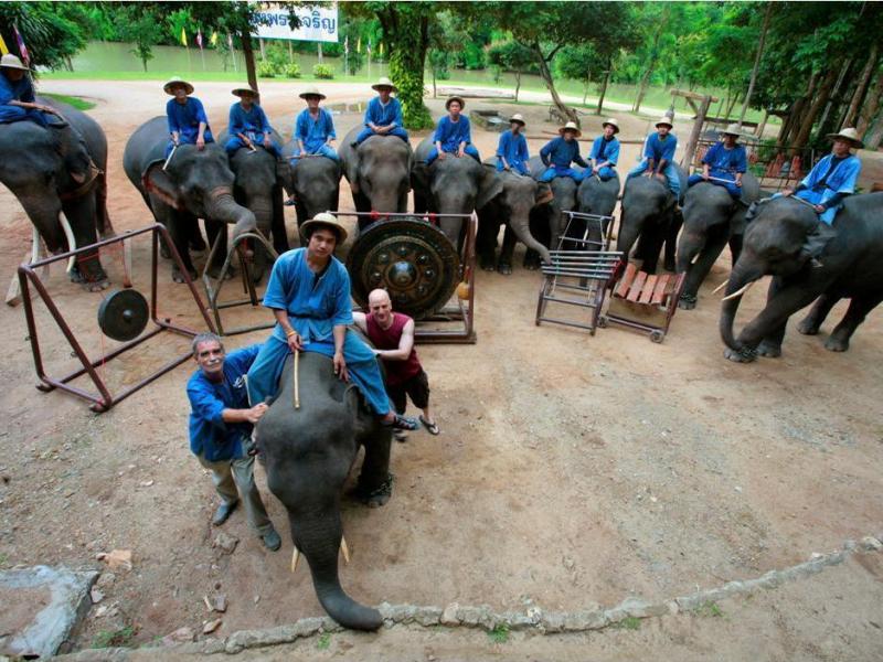Thai Elephant Orchestra co-founder David Sulzer (bottom center, in red) poses with the animals and their mahouts, or keepers. Thai Elephant Orchestra co-founder David Sulzer (bottom center, in red) poses with the animals and their mahouts, or keepers.
