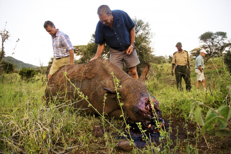 Mike Watson (left), CEO of Kenya's Lewa Conservancy, and conservationist Ian Craig identify the carcass of a 4-year-old black rhino named Arthur, whom poachers had killed the night before. The well-armed, well-informed poachers very likely used night visi Mike Watson (left), CEO of Kenya's Lewa Conservancy, and conservationist Ian Craig identify the carcass of a 4-year-old black rhino named Arthur, whom poachers had killed the night before. The well-armed, well-informed poachers very likely used night visi