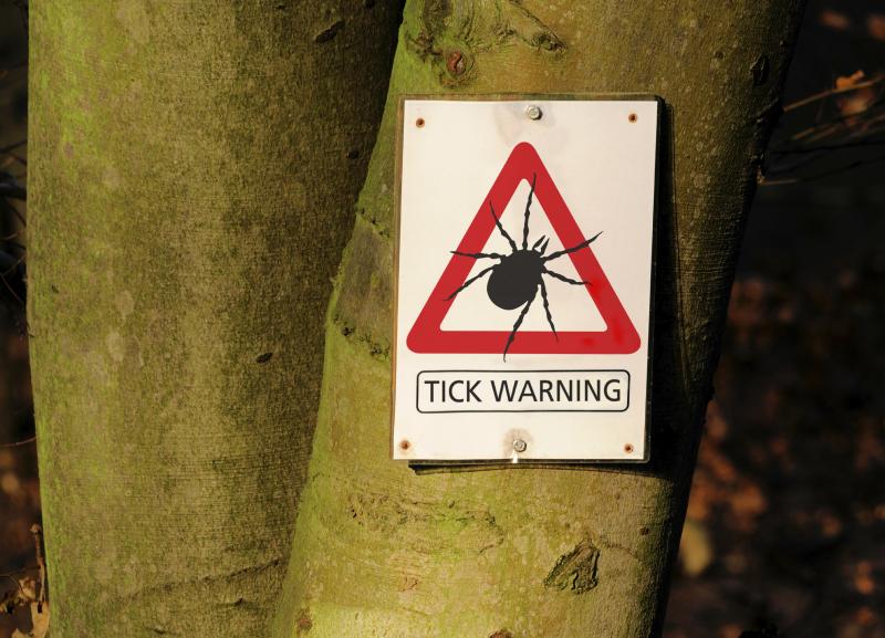 In the current New Yorker, Michael Specter explores the conflict among some people who suffer from Lyme disease, and the doctors who study it. In the current New Yorker, Michael Specter explores the conflict among some people who suffer from Lyme disease, and the doctors who study it.
