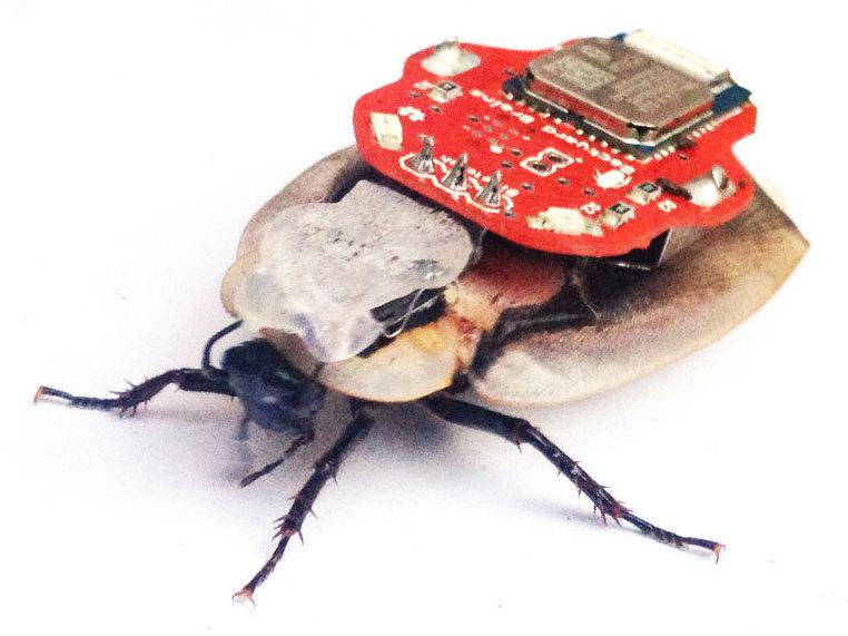 The RoboRoach device allows users to influence the movements of cockroaches with a smartphone. The RoboRoach device allows users to influence the movements of cockroaches with a smartphone.