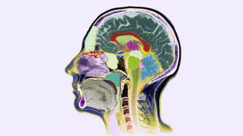 Despite significant advances in neurology and imaging, researchers still don't have simple lab tests for diagnosing patients with mental disorders. Diagnoses are still mostly based on a patient's signs and symptoms. Despite significant advances in neurology and imaging, researchers still don't have simple lab tests for diagnosing patients with mental disorders. Diagnoses are still mostly based on a patient's signs and symptoms.
