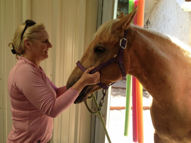 Katrina Boydon and her mustang Spirit. She adopted the horse as an orphaned foal with a rattlesnake bite on his hoof. Katrina Boydon and her mustang Spirit. She adopted the horse as an orphaned foal with a rattlesnake bite on his hoof.