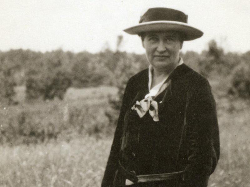 Cover of The Selected Letters of Willa Cather Cover of The Selected Letters of Willa Cather