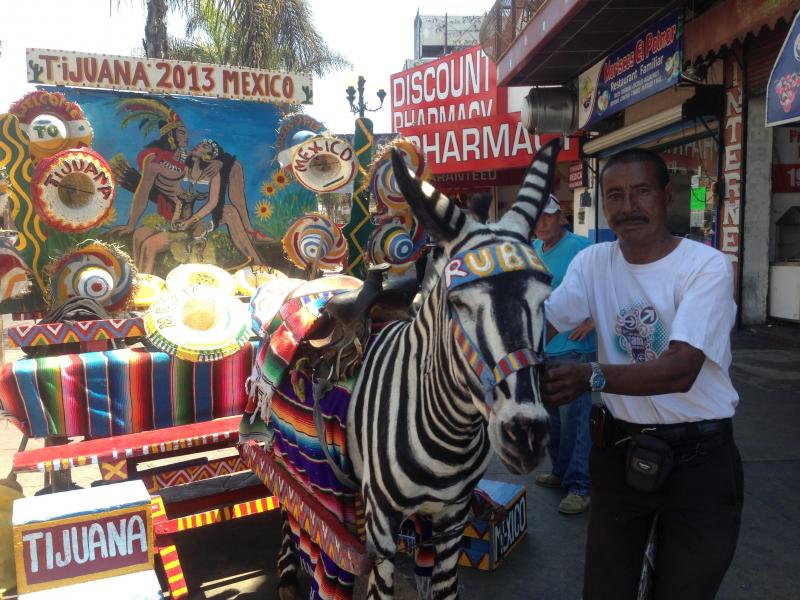 Victor Reyes has been photographing tourists atop Tijuana's "zonkeys" since he was 12, and says at one time he could earn $150 a day. Now, he's lucky to earn $15, he says. Here, Reyes poses with his donkey, Ruben. Victor Reyes has been photographing tourists atop Tijuana's "zonkeys" since he was 12, and says at one time he could earn $150 a day. Now, he's lucky to earn $15, he says. Here, Reyes poses with his donkey, Ruben.