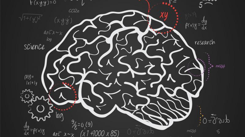 The parts of the brain known to help process fear and negative emotion are hyperactive when someone with math anxiety confronts a tricky problem, scientists say. The parts of the brain known to help process fear and negative emotion are hyperactive when someone with math anxiety confronts a tricky problem, scientists say.