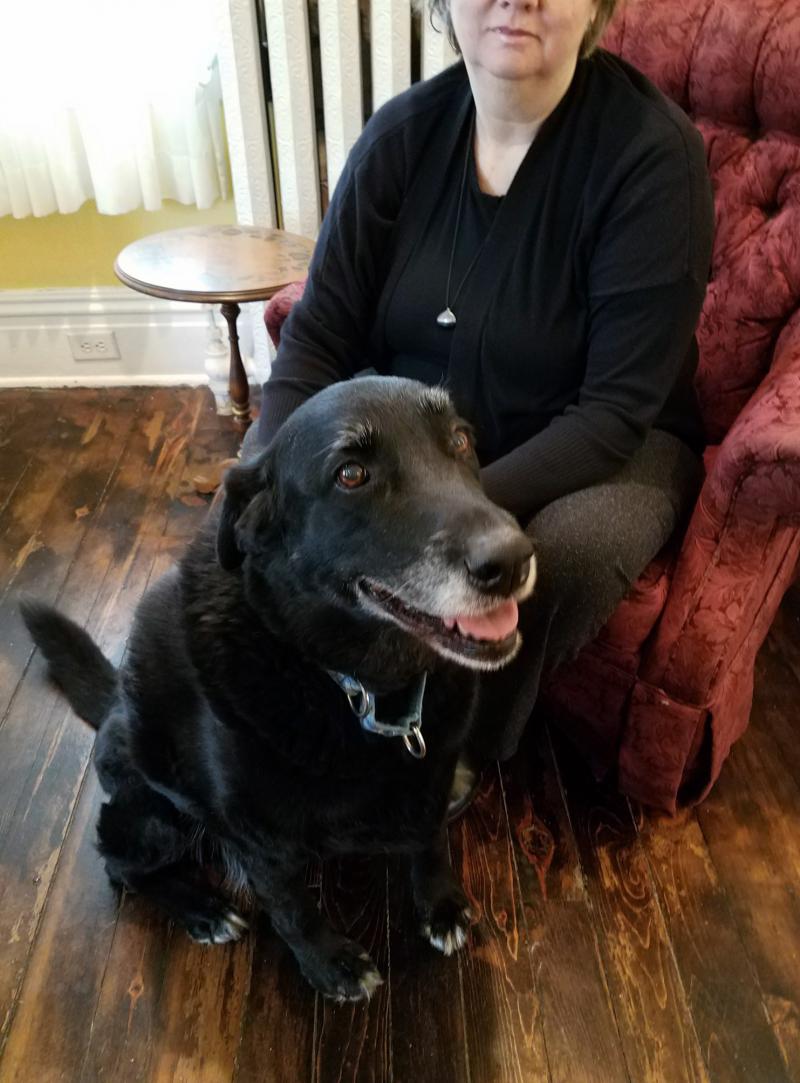 Ten years ago, black Lab mix Abby ran away from home. Now, she has been reunited with her owner Debra Suierveld, who tells NPR's Scott Simon that Abby has fit right back in with the family. Ten years ago, black Lab mix Abby ran away from home. Now, she has been reunited with her owner Debra Suierveld, who tells NPR's Scott Simon that Abby has fit right back in with the family.