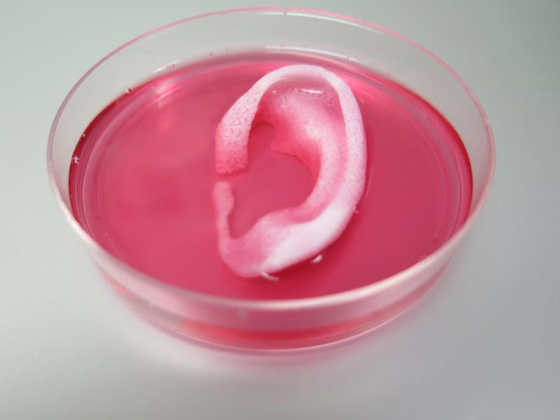 3D Printed Ear
